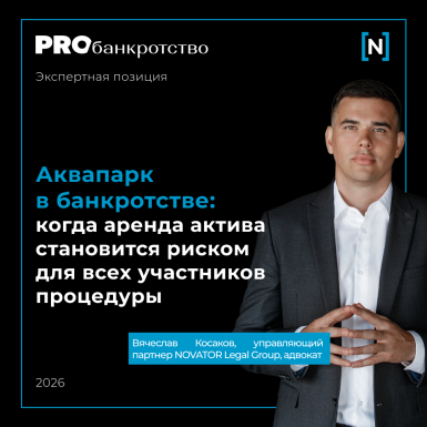 Аквапарк в банкротстве: как аренда актива может стать предметом уголовного дела